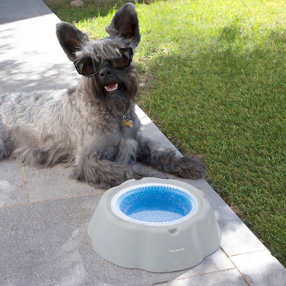 Cooling water bowl for pets