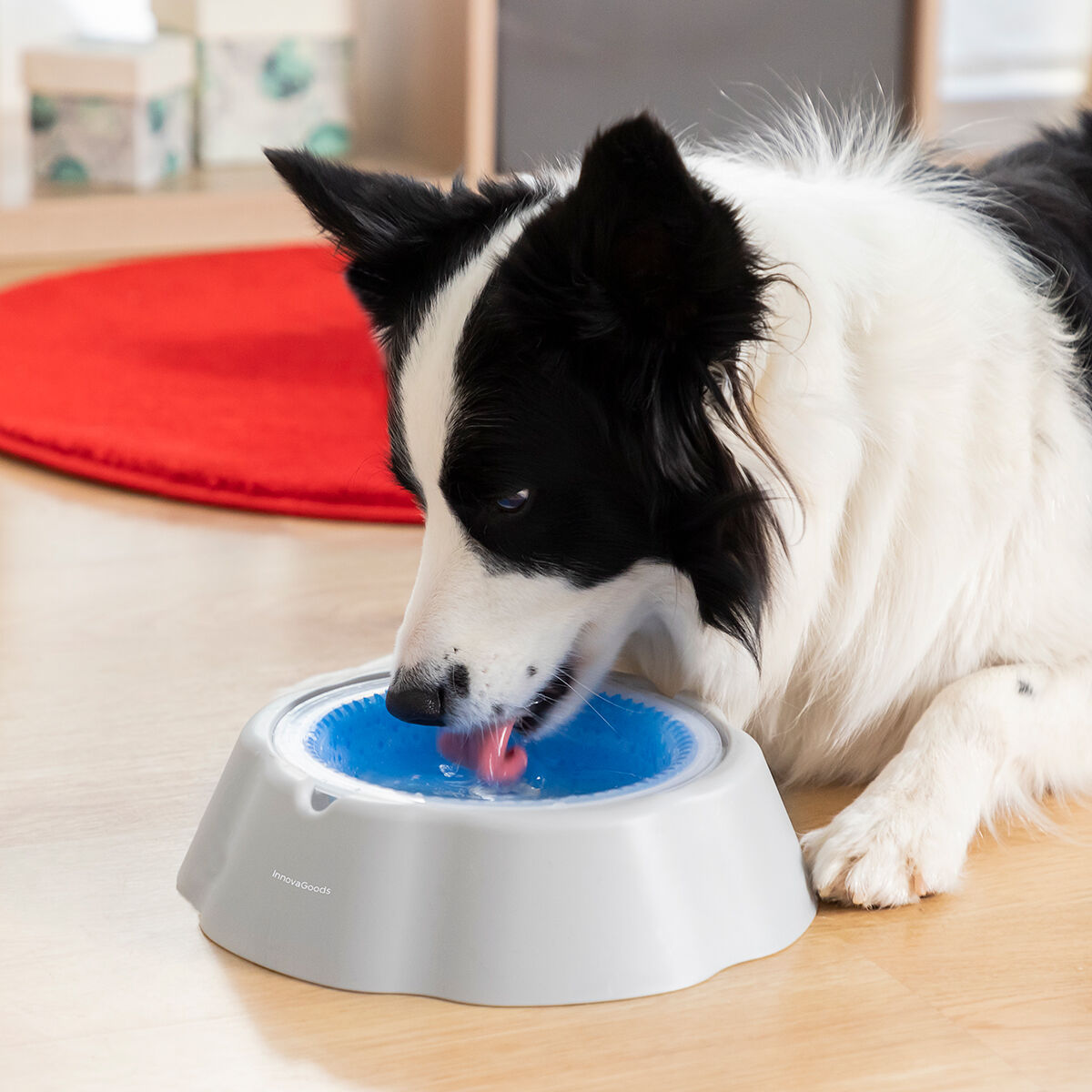 Cooling water bowl for pets