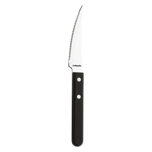Knife set Amefa - 12 pieces