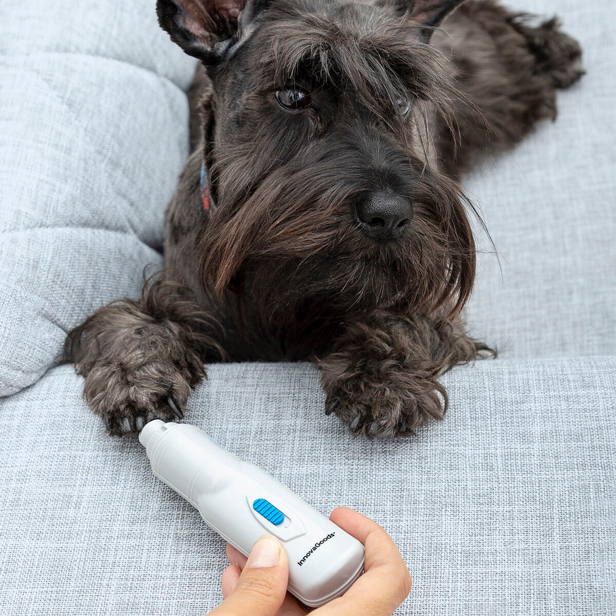 Electric nail file for pets
