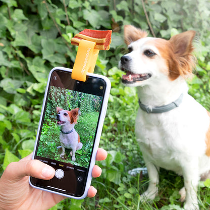 Selfie clip designed for pets