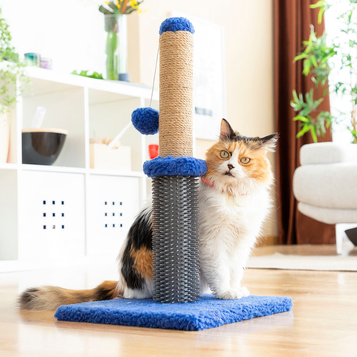 Cat scratching and massage post