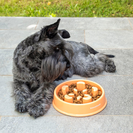 Slow Eating Food Bowl for Pets